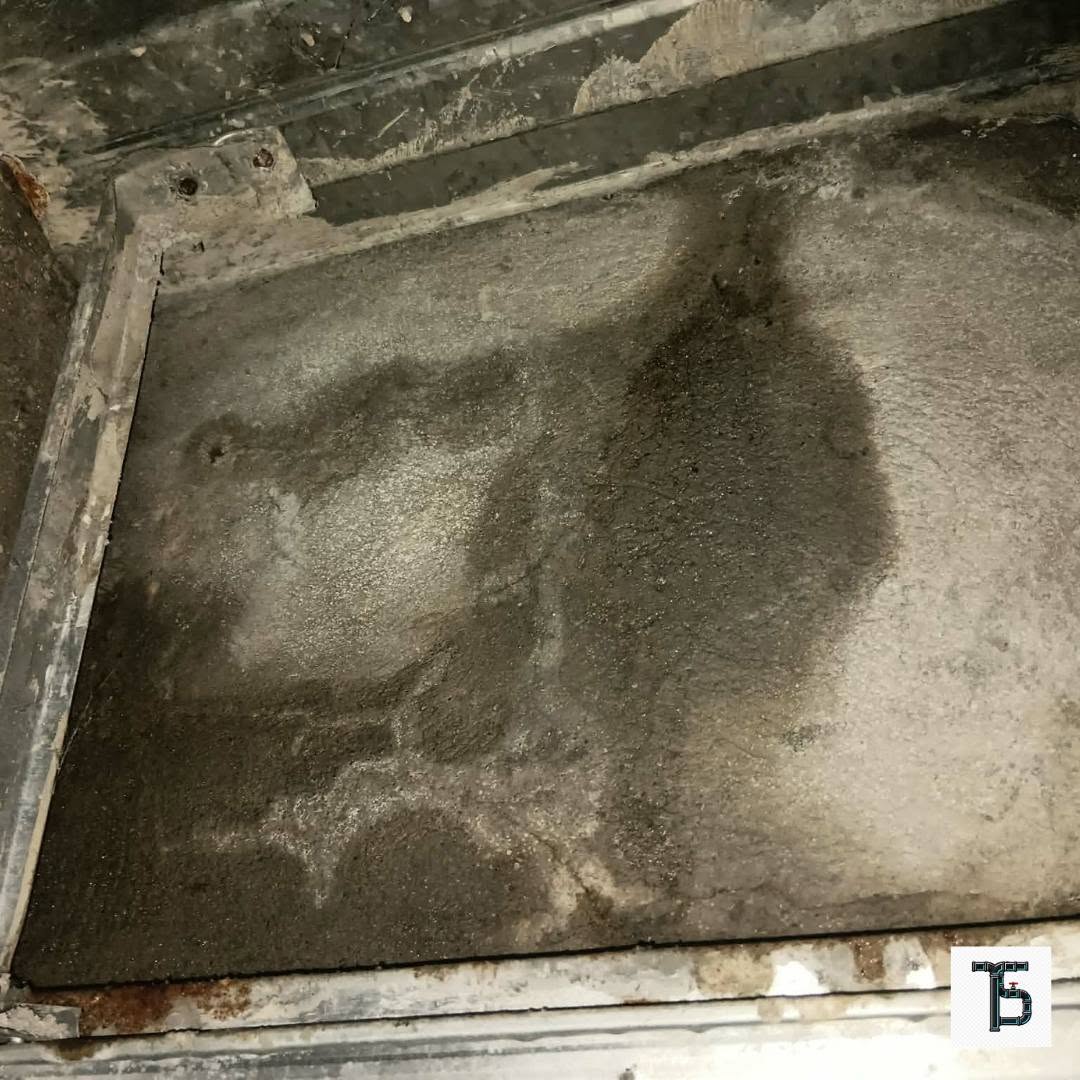 Damp Walls