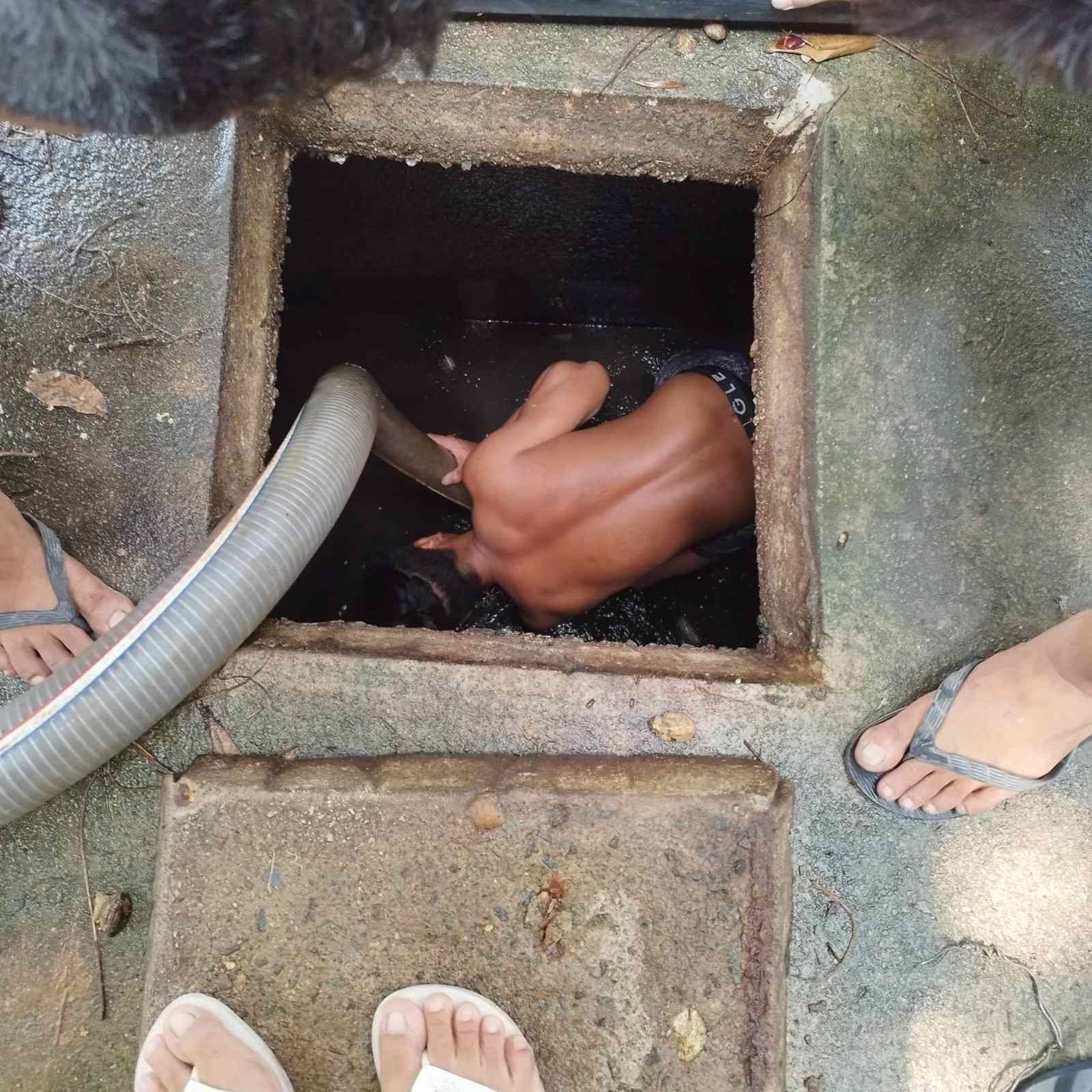 Professional siphoning and septic tank services