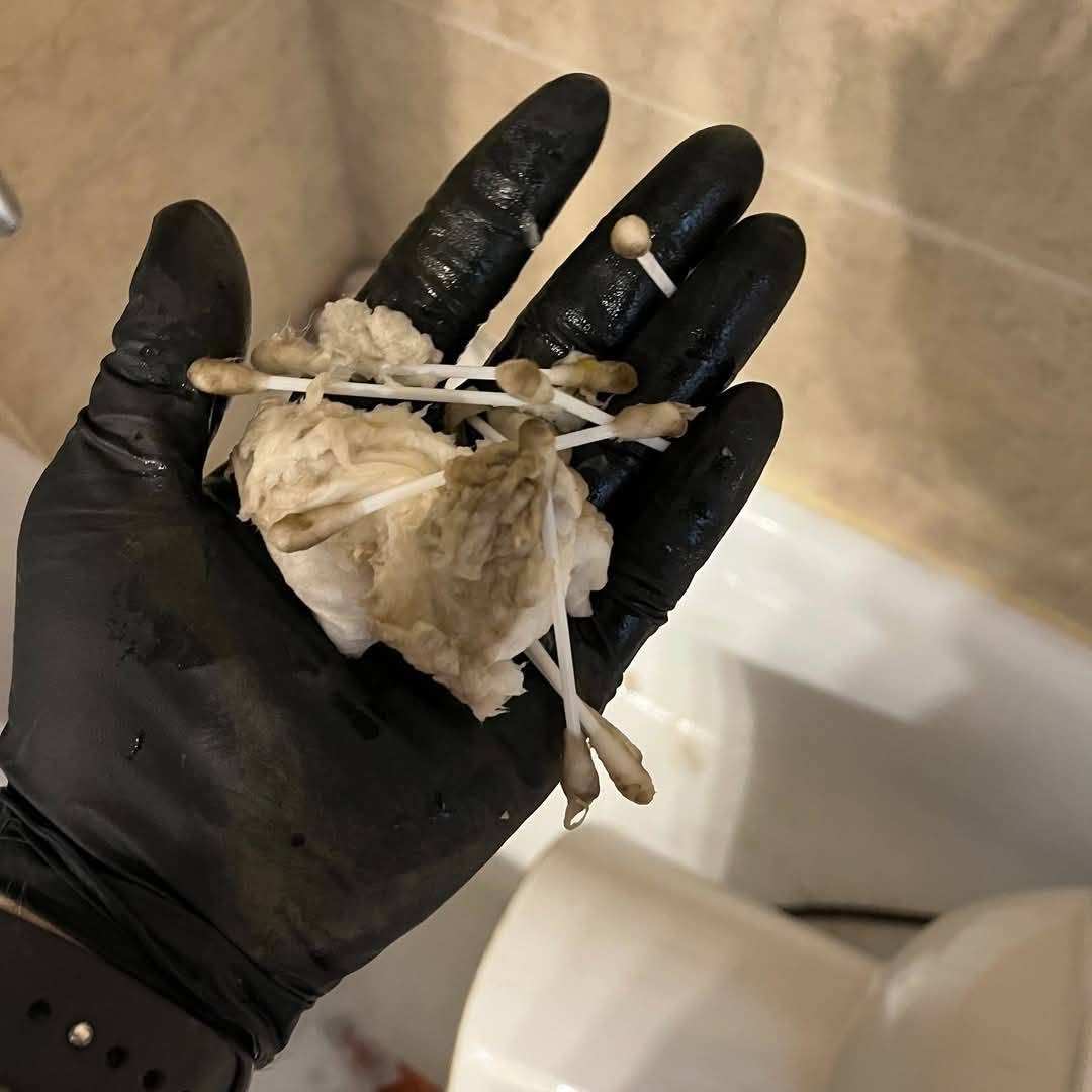 Removed debris and clog material during a plumbing drainage cleaning procedure
